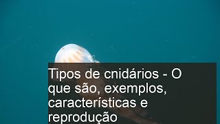 Tipos de CNIDÁRIOS  O que são exemplos características e reprodução [upl. by Staw411]