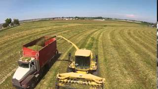 Chopping Triticale in Southern Idaho 2015 [upl. by Lady]