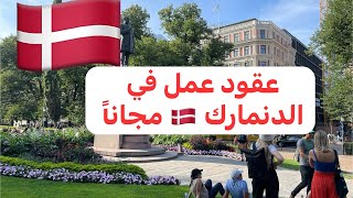 عقود عمل في الدنمارك 🇩🇰 مجانا سارع بالتسجيل [upl. by Joon]