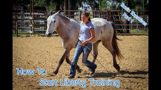 How To Start Liberty Training With Your Horse Basic Exercises Part 1 [upl. by Delfeena]