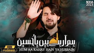 Noha 2024  Farhan Ali Waris  Hum aa Rahy hain Ya Hussain as  New Nohay 2023 [upl. by Yhtir]