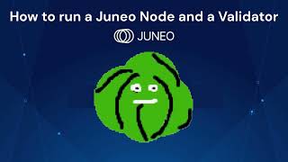 ⚙️How to run a Juneo node  Step by step tutorial⚙️ [upl. by Orlena372]