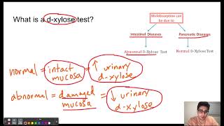 DXylose test [upl. by Aihsek51]