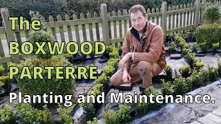 How to plant a formal boxwood parterre [upl. by Yhtimit]