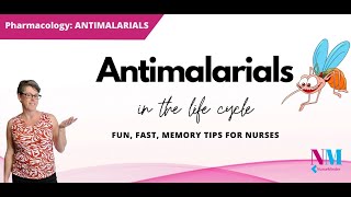 Antimalarial medications Life cycle overview for nurses [upl. by Aicek]