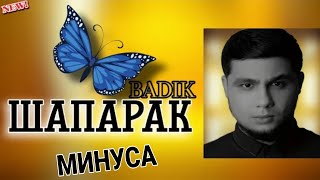 МИНУСАИ BADIK  ШАПАРАК  TIMA  МАЧАКОИ ФАЛШИВИ  2024 [upl. by Ahsyle]