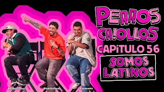 PERROS CRIOLLOS  SOMOS LATINOS CAP 56 [upl. by Ibbob]