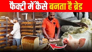 फैक्ट्री में ब्रेड कैसे बनती है  How Bread Is Made  Bread Manufacturing Process in Factory [upl. by Fakieh]