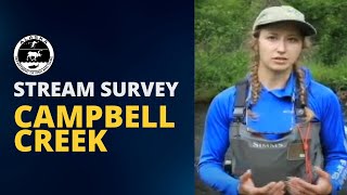 Campbell Creek Stream Survey in Beautiful Anchorage [upl. by Boar]