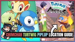 How to Get Chimchar Turtwig amp Piplup Early  Location amp Capture Guide  Pokemon Legends Arceus [upl. by Alleuqram]