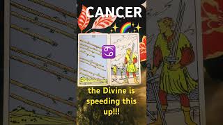 CANCER ♋️ TODAYS TAROT❤️❤️❤️shorts love motivation entertainment spirituality tarot short [upl. by Eedyak]