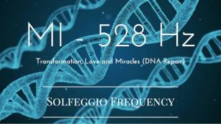 MI  528 Hz  pure tone  Solfeggio Frequency  Transformation Love and Miracles DNA Repair [upl. by Cattan766]