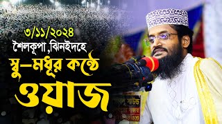 আব্দুল্লাহ আল আমিন । শৈলকূপা ঝিনইদহে ৩১১২০২৪ মধূর কন্ঠে ওয়াজ । Abdullah Al Amin Full Waz 2024 [upl. by Nos]