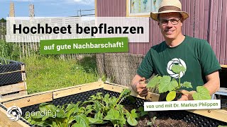 Hochbeet bepflanzen – auf gute Nachbarschaft Mischkultur Salat Möhren Zwiebeln  gardify Tipps [upl. by Roi]