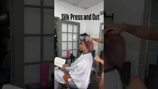 200 Silk Press and Cut on damaged hair new client atlantahairstylist silkpress [upl. by Dickey286]