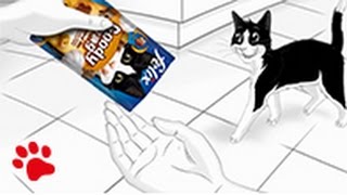 Clever Cats pick Felix Treats every time [upl. by Abelard]