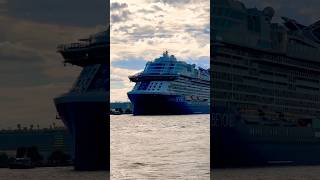 Celebrity Beyond 🛳️ like share comment subscribe cruiseship cruise vacation shorts short [upl. by Morten95]