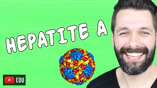 HEPATITE A  HEPATITES VIRAIS  Biologia com Samuel Cunha [upl. by Jovia780]