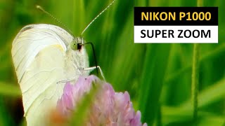 Nikon P1000 zoom test  BUTTERFLY Macro from 9 meters World Record Zoom [upl. by Elreath]