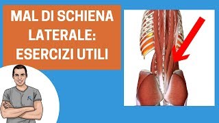 Mal di schiena laterale esercizi per migliorare il dolore [upl. by Morrie]