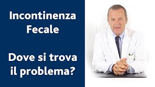 Dove è localizzato il problema della incontinenza fecale [upl. by Eikceb218]