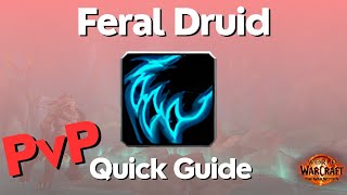 Feral Druid PvP Guide  The War Within Season 1 [upl. by Enileda]