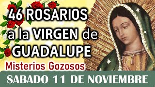 46 Rosarios a la Santísima Virgen de Guadalupe Misterios Gozosos Sábado 11 de Noviembre Dia 15 💖 [upl. by Mirella]