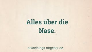 Alles über die Nase  Funktion und Aufbau [upl. by Charles]