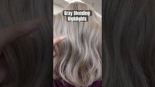 Gray Blending Highlights  babylights hairsalonlife hairstylist haircolorist haircolor [upl. by Kyd]