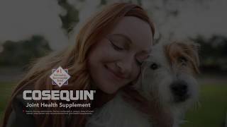 COSEQUIN® Joint Health Supplements [upl. by Filomena]