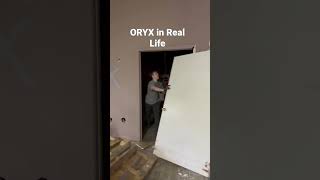 Oryx in Real Life shorts r6 meme funny onyxsnake subscribe [upl. by Standice]