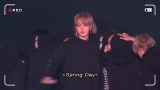 BTS  Spring Day in Concert 2018 HD [upl. by Franny]