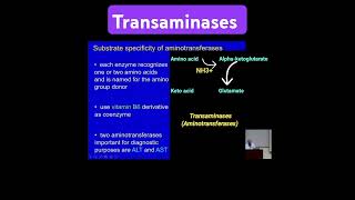 Transaminases Aminotransferases  Metabolism Made Easy [upl. by Elacim761]