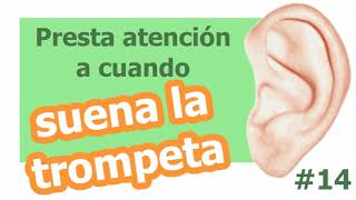 👂 Discriminación auditiva 14 suena la trompeta 👂 Estimulación sensorial para personas mayores [upl. by Brittne]