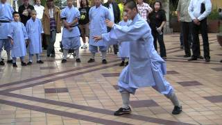 Shi Yan Hong performs Rou Quan at Shaolin Movie Premiere in Hollywood 09092011 [upl. by Kcyred]