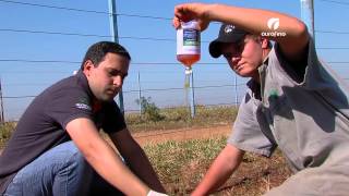 26062014  Controle Doenças em Bezerros  Ourofino em Campo [upl. by Klehm177]