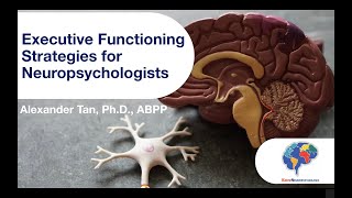 Executive Functioning Strategies for Neuropsychologists [upl. by Lyrrehs936]