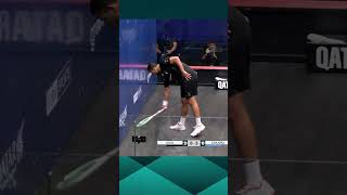 THIS HAS EVERYTHING 🤯 Epic from Mostafa Asal 🔥 squash [upl. by Salene]