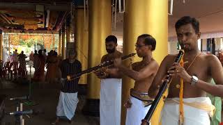 Nadaswara melam [upl. by Ognimod215]