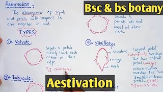 Aestivation And Its Types  Velvate imbricate And Twisted aestivation  Class Bsc Botany [upl. by Pouncey]