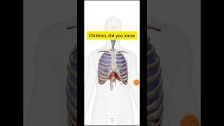 Skeletal system class 9 ICSEviralyttrendingshortsbiology [upl. by Acessej]