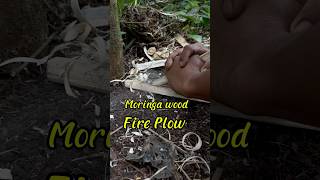 Moringa fire plow [upl. by Tnilf]