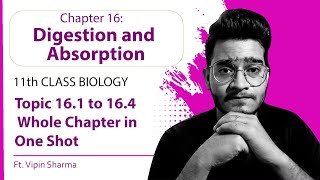 Topic 161 to 164 Digestion and Absorption in One Shot  Best Video for Human Physiology ft Vipin [upl. by Selima]