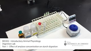 BIO202 Digestion Lab Part 1 Effect of Amylase Concentration on Starch Digestion [upl. by Dnomar]