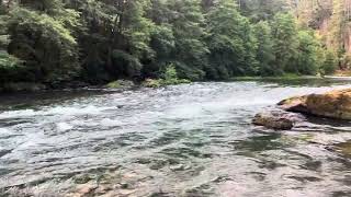 North Umpqua Fly Fishing 3 [upl. by Alameda]