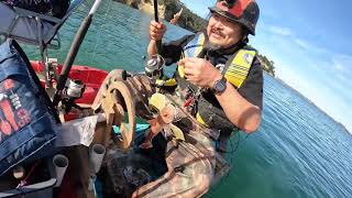 Winter Waitemata Harbour Fishing [upl. by Lilia502]