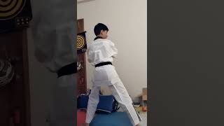 Poomsae application Taegeuk application [upl. by Ahpla]