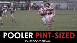 PoolerPintSized Beddau 1462 Pontypool [upl. by Giesser]