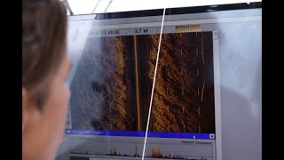 Using side scan sonar to tackle ghost gear in the Mediterranean [upl. by Zuckerman]