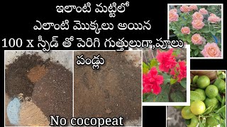 universal potting soil  perfect soil mix for any plants in telugu [upl. by Airitac48]